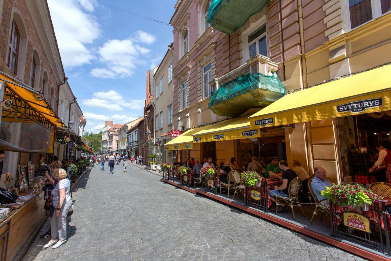 New Quiet Cozy City Center Apartment VNO Esterno foto